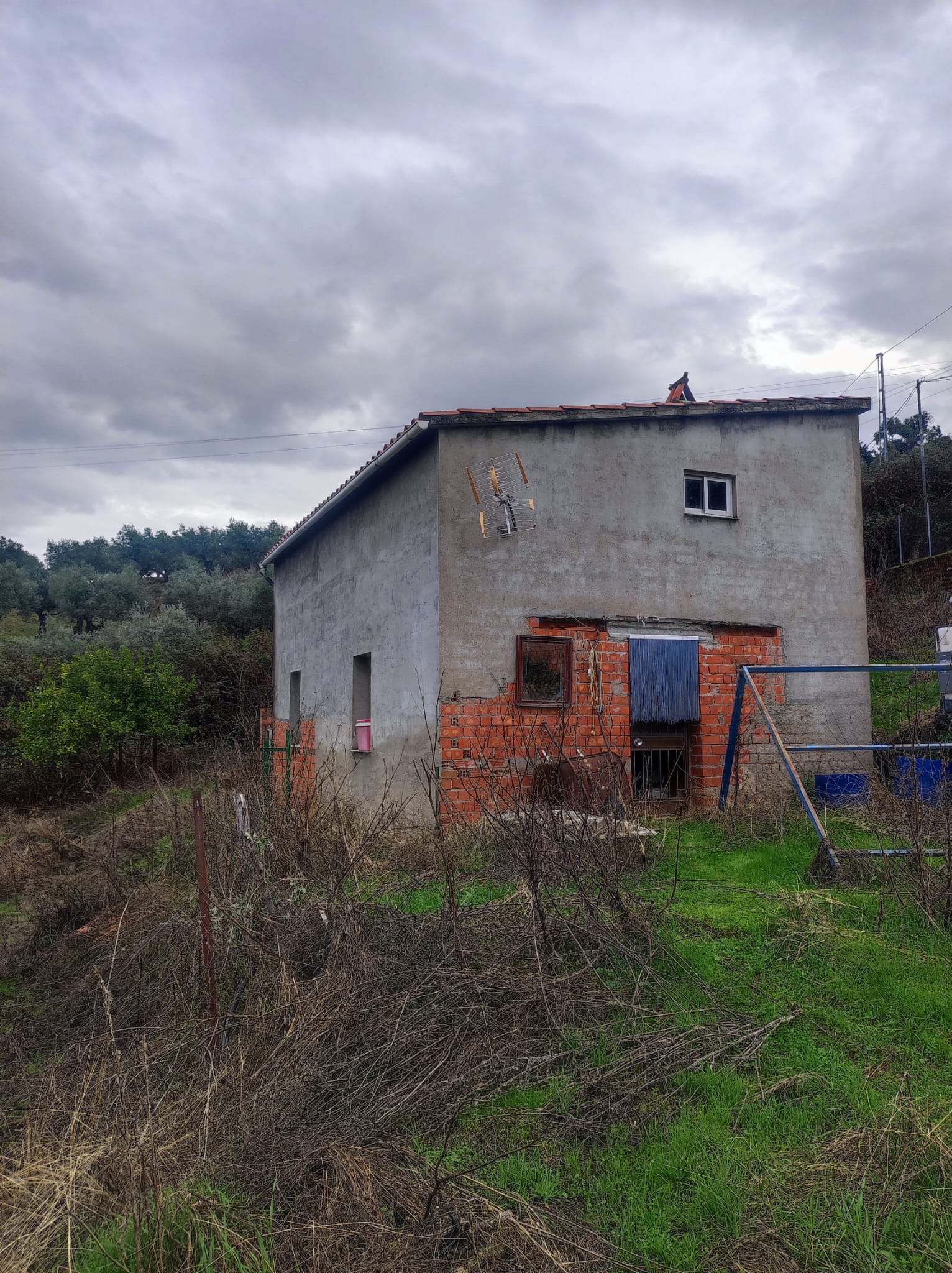 IMG-20251215-WA0006