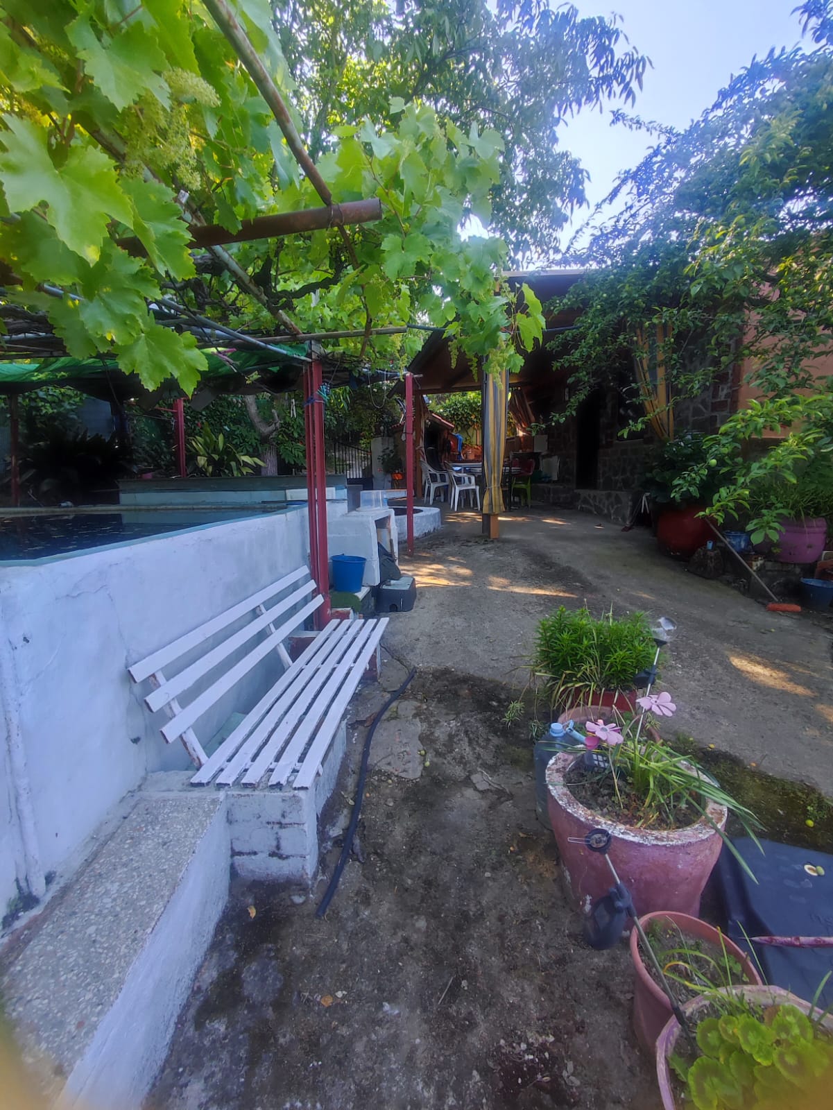 IMG-20260519-WA0014